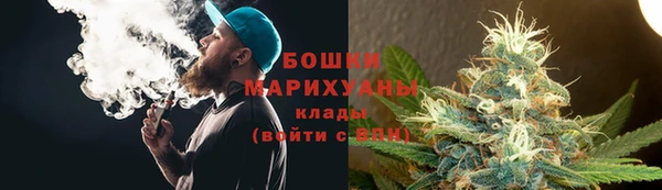 шишки Бронницы